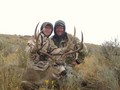 Lucky Hunting Partner