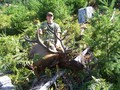 erics 6x5 2009 tioga