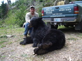 Black Bear 07