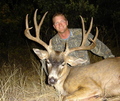 Archery buck