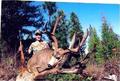 My first buck