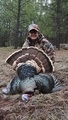 My first turkey