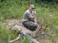 big buck for heath