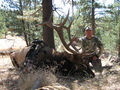 2010 Rocky Mt. 6x6 Oregon Archery Bull