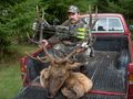 GREG'S 2009 7x7 ARCHERY BULL ELK