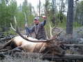 2010 Black Powder Bull