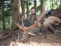 7x7 Oregon Roosevelt Archery #20