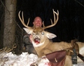 5x4 whitetail 130 class
