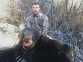 2010WALLOWABEAR