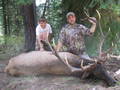 Scott's bull scores 293 2/8 and ranks 42nd in the archery category.