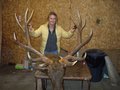 7x8 Bull Gross Score 355