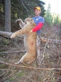 2010 Cougar