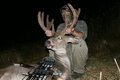 state record velvet blacktail