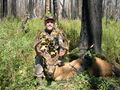 Curiosity killed the buck!