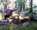 2010 Cascade Roosevelt Elk, 266 B&C