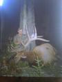 Heppner archery bull