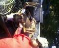 scored 133 and had a spread of 20 28 not bad for a coast buck.