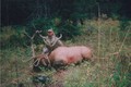 Archery kill 2005