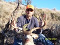 Owyhee Unit mule deer 2007.
