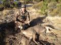 Massive Forked Horn Mulie