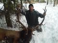 Marty Dillavou's 6X6 bull taken in Bly Oregon