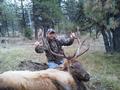 First rifle bull