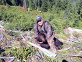 My First Bear