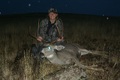 Forked Horn Mulie