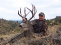 2004 Blackpowder Mule Deer