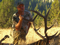 Rocky Mountain Elk