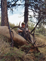 Rocky Mountain Elk