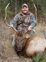 Rocky Mountain Elk