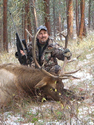 Rocky Mountain Elk