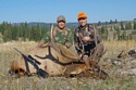 Rocky Mountain Elk